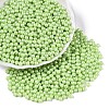 Glass Seed Beads SEED-T007-01L-3