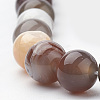 Natural Botswana Agate Beads Strands G-S279-08-8mm-3