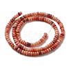 Natural Dolomite Beads Strands G-K350-A01-01G-3