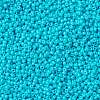MIYUKI Round Rocailles Beads SEED-G008-RR4480-3