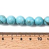 Natural Magnesite Beads Strands G-P598-E-10mm-05-5