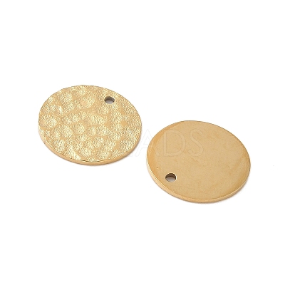 304 Stainless Steel Charms STAS-K306-10G-1