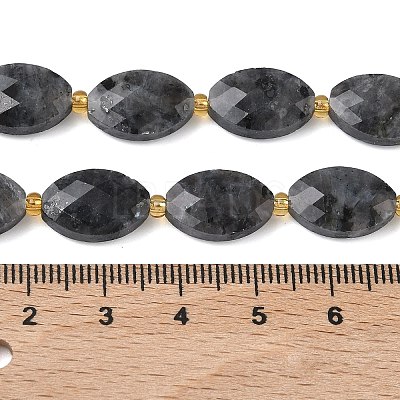 Natural Larvikite Beads Strands G-A295-A03-01-1