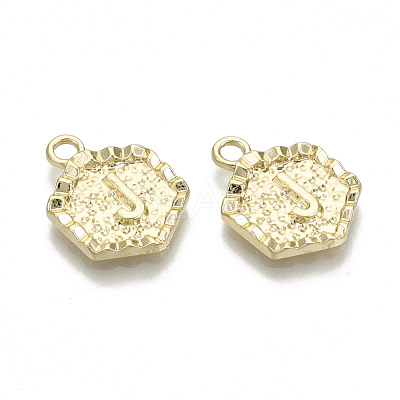 Alloy Pendants PALLOY-N157-003J-NR-1