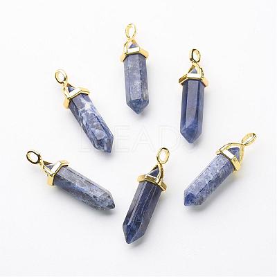Natural Sodalite Double Terminated Pointed Pendants G-G902-B14-1