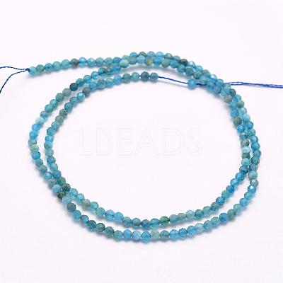 Natural Apatite Beads Strands G-F509-17-3mm-1