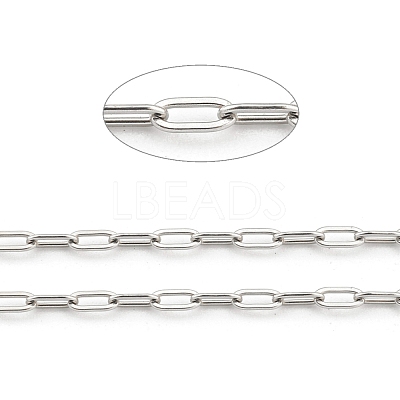 Non-Tarnish 3.28 Feet 304 Stainless Steel Paperclip Chains X-STAS-H111-03P-1