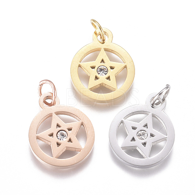 316 Surgical Stainless Steel Charms STAS-L242-04-1