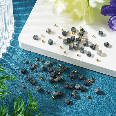 50Pcs Natural Larvikite Beads G-TAD0001-13-1