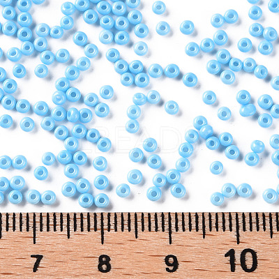 11/0 FGB Grade A Baking Paint Glass Seed Beads X-SEED-N001-A-1019-1