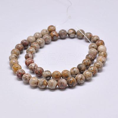 Natural Maifanite/Maifan Stone Beads Strands X-G-F353-6mm-1