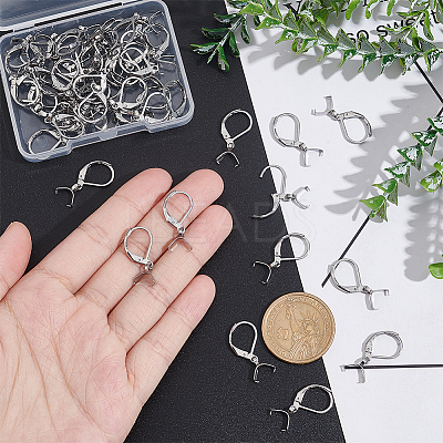 50Pcs 304 Stainless Steel Leverback Earring Findings STAS-UN0041-89-1