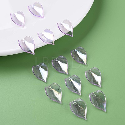 Transparent Acrylic Beads MACR-S373-103-C02-1