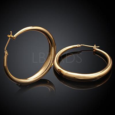 Adorable Design Ring Brass Hoop Earrings EJEW-BB07351-G-1