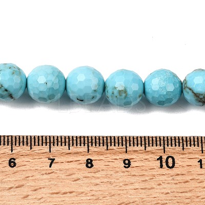 Natural Magnesite Beads Strands G-P598-E-10mm-05-1