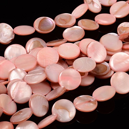 Natural Shell Beads Strands PBB251Y-6-1