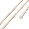 20M Polyester Braided Cord for Jewelry Making OCOR-G015-04A-25-1