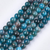 Natural Apatite Beads Strands G-S333-8mm-031-1