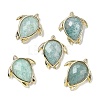 Natural Amazonite Pendants G-U019-02G-04-1