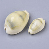 Natural Cowrie Shell Beads X-SSHEL-N034-B-26-2