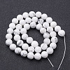 Natural Howlite Bead Strands G-G735-66-10mm-3