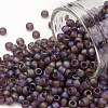 TOHO Round Seed Beads SEED-JPTR08-0166BF-1