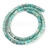 Natural Amazonite Beads Strands G-H064-C01-01-3