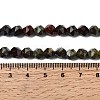 Natural Dragon Blood Beads Strands G-Z119-A17-01-6
