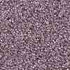 TOHO Round Seed Beads SEED-JPTR15-0110-2