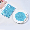 6/0 Glass Seed Beads SEED-S058-A-F298-2