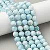 Natural Larimar Beads Strands G-B141-01-10mm-1