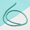 Dyed Synthetic Turquoise Beads Strands G-G075-A02-01-3