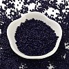 Baking Paint Glass Seed Beads X-SEED-S042-05B-79-2
