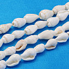 Natural Trumpet Shell Beads Strands S02KI011-1