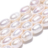 Natural Cultured Freshwater Pearl Beads Strands PEAR-N012-07R-4
