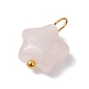 Natural Rose Quartz Star Charms with Brass Loops PALLOY-JF02733-01-3