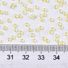 Glass Seed Beads SEED-S042-11A-05-4