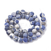 Natural Sodalite Beads Strands G-T106-213-3