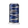 Segment Dyed Round Polyester Sewing Thread OCOR-Z001-B-01-1