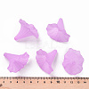 Transparent Acrylic Beads X-BSF796-C08-6