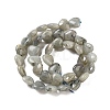 Natural Labradorite Beads Strands G-B022-32C-4