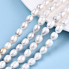 Natural Cultured Freshwater Pearl Beads Strands PEAR-S017-007-2