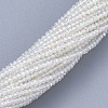 Electroplate Glass Beads Strands EGLA-F149-AB-01-2