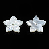 Natural White Shell Beads SSHEL-N027-131A-01-3