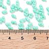 Baking Paint Glass Seed Beads SEED-A033-04D-3