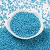 Cylinder Seed Beads SEED-H001-H10-2