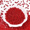 3/0 Baking Paint Glass Fringe Seed Beads SEED-A034-04E-1