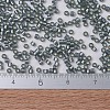 MIYUKI Delica Beads X-SEED-J020-DB0697-4