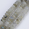Natural Labradorite Beads Strands G-P354-01-4x2mm-1