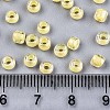 6/0 Glass Seed Beads X1-SEED-A016-4mm-202-4